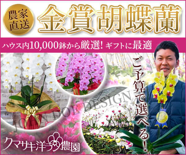 ギフト『胡蝶蘭』専門店！直送型【ランノハナドットコム】