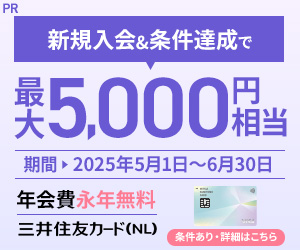 202504301959066690